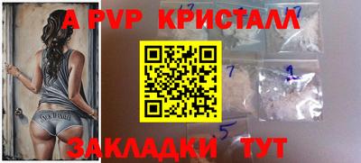 тгк Канаш