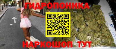 тгк Канаш