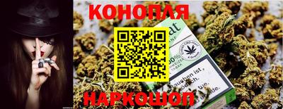 тгк Канаш