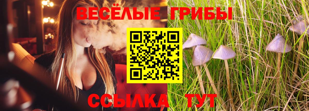 Псилоцибиновые грибы мухоморы Красноуфимск